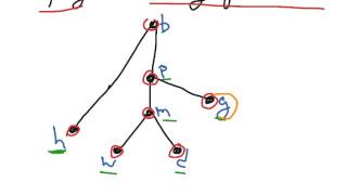 A topological sorting of a poset [upl. by Doownil727]