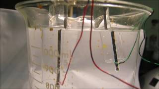 Experiment 4 water  NaCl electrolysis [upl. by Davin]