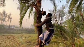 Making of Date Palm Jaggery Nolen Gur  Street Food [upl. by Kerekes]