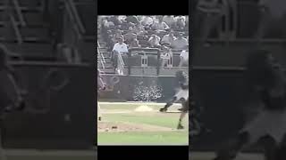 Randy Johnson KILLS Dove With Pitch shorts [upl. by Nojed852]