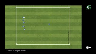 Gioco dello sparviero  Coach Sante [upl. by Aerdnad190]