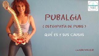 Pubalgía u osteopatía de pubis ¿Qué es y causasPorque duele la ingle [upl. by Anilam]