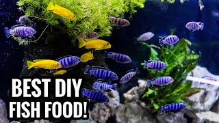 DIY African Cichlid Fish Food  Good for ANY FISH [upl. by Latsyrcal912]