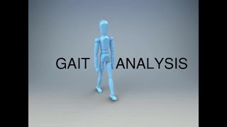 Gait Analysis and the Gait Cycle [upl. by Eycal934]