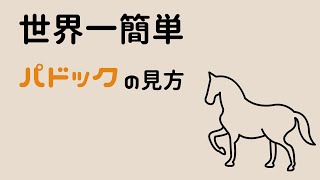 【競馬】世界一簡単で簡潔なパドックの見方 [upl. by Neisa]