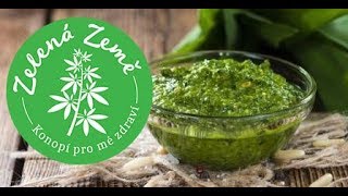 Jak připravit KONOPNÉ PESTO [upl. by Neliak]