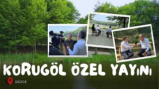 Düzce Korugöl Tabiat Parkı Özel Yayını [upl. by Yattirb]