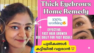 കറുത്ത കട്ടിയുള്ള കൺപുരികം😍Thick Eyebrows Effective Home Remedy🔥thickeyebrows eyebrows [upl. by Ayk567]