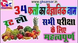 Fruit namesScientific name with pictures in English amp Hindi for All exams  Fruit Names in Hindi [upl. by Barney]