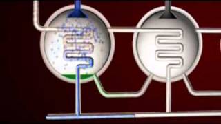 MED Desalination Process [upl. by Terhune]