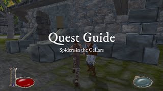 Drakan The Ancients Gates  Quest Guide  Spiders in the Cellars [upl. by Oijimer]