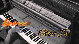 Amoreena  Elton John Cover [upl. by Aicertal]