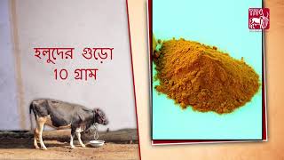 Ethnoveterinary treatment for Fever Bengali [upl. by Hauser897]