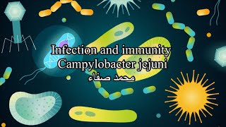 Campylobacter jejuni [upl. by Silado]