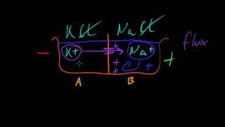 Part 6a  Resting Membrane Potential [upl. by Joellyn]