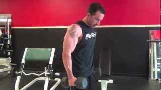 Fonzies Bicep Workout  Exercises you will not see every day [upl. by Wall422]