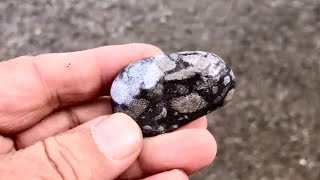 Rock Hounding at Harrisville State Park Beach in Harrisville Michigan [upl. by Slaohcin]