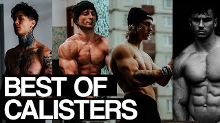 BEST OF CALISTERS  APRIL 2020  Ultimate Calisthenics Motivation [upl. by Ocker]