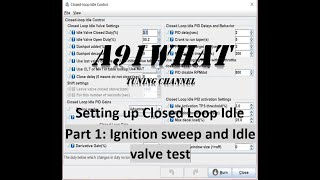 MegaSquirt TunerStudio Closed loop idle Tuning part1 [upl. by Wendt]