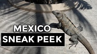 Riviera Maya  Mexico  Sneak Peek [upl. by Piggy]