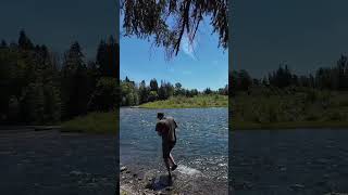 Cowlitz river Summer run Steelhead [upl. by Yenaj564]