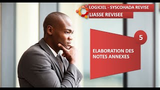 LIASSE FISCALE SYSCOHADA REVISE EXCEL DSF ÉLABORATION DES 36 NOTES ANNEXES [upl. by Yekcir]