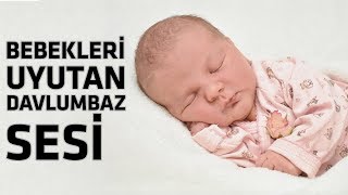 Davlumbaz Sesi  Bebekler İçin Uyku Desteği [upl. by Mairam]