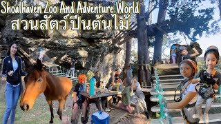 ปาร์ตี้ วันเกิดหลานสาวที่สวนสัตว์แถวบ้าน Shoalhaven ปีนต้นไม้ Treetops Adventure World [upl. by Helsie]