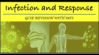 Communicable Diseases  GCSE Biology Revision for 2020 [upl. by Aerahs]