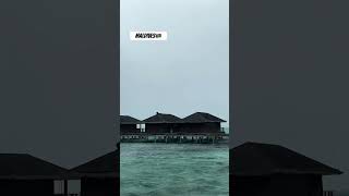 Maldives water villa youtubeshorts youtube travel trending couple love resort tamil telugu [upl. by Teplica]