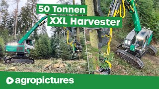 Holzernte XXL – Größter Harvester der Welt  IMPEX Hannibal T50 bei Vieghofer Holz  Forst Doku [upl. by Ardnikal]