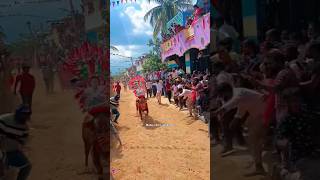 Gaddam vaari palli jallikattu jallikattu bull festival [upl. by Ybocaj832]