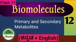 Class 11  Biomolecules  12  Primary and Secondary Metabolites [upl. by Assin]