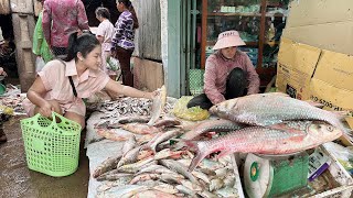 Raining day at my place  Village market tour and cooking  Countryside Life TV [upl. by Thorbert]