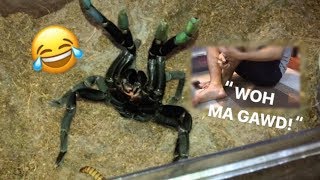 Arachnophobic friend FEEDS my TARANTULAS for the FIRST TIME  “Whoaa my goshhh” [upl. by Bull]