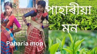 O pahariya Mon song Dance cover by Jahnavi amp suchitra💙অ পাহাৰীয়া মন🎧চৰকাৰী বিদ্যালয়ৰ ছাত্ৰীৰ নৃত্য [upl. by Teresita]