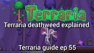 terraia deathweed explained terraria guide ep 55 [upl. by Aerdnad345]