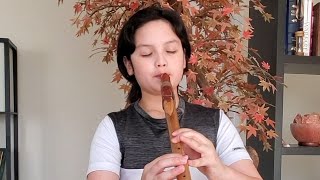 The Last of the Mohicans  Native American Flute amp Pan Flute by Colin Chen [upl. by Wait]