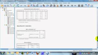 SPSS Einführungsvideo 6  Aufteilung des AutomarkenDatensatzes nach Geschlecht [upl. by Elita]