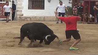 UFF Encierro por el campo Valfermoso de Tajuña 2019 [upl. by Aydin]