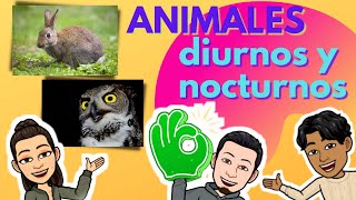 Animales diurnos y nocturnos [upl. by Colby]