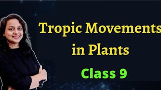 Tropic Movements  Different Types of Tropic Movements in Plants  SSC Class 9  Maharashtra Board [upl. by Solegnave]