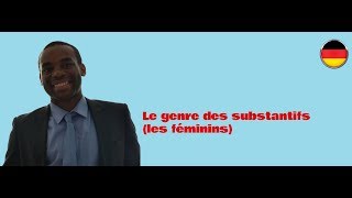 Cours dallemand A1 B2 Le genre des substantifs en allemand les féminins [upl. by Anyer124]