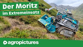 Pfanzelt Forstraupe Moritz in der Landschaftspflege mit Mulcher Mähwerk Holzhacker Schutzschirm [upl. by Maziar]