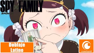 ¿¡EL ES TU PAPÁ  Spy x Family  Doblaje Latino  1080p HD [upl. by Kentiga]