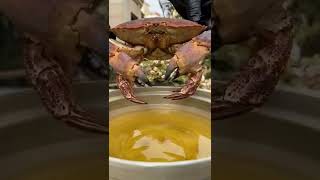 Extracting the meat from the crab after frying it in the oil [upl. by Mozza]