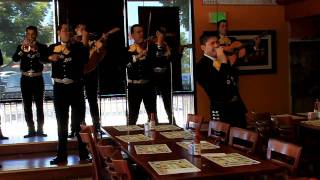 MARIACHI ESTRELLA DE JALISCO quot AMARTE A LA ANTIGUA quot [upl. by Assilaj734]