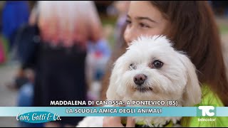 MADDALENA DI CANOSSA A PONTEVICO BS LA SCUOLA AMICA DEGLI ANIMALI [upl. by Codi]