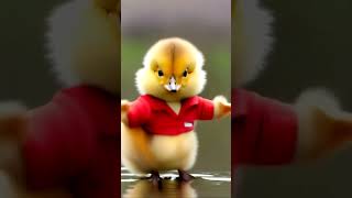 Funny and Cute Pet Videos  Hilarious Animals in Action [upl. by Yllitnahc61]