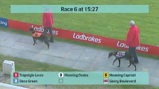 Crayford Greyhounds Races on 29th March 2024 [upl. by Yruj]